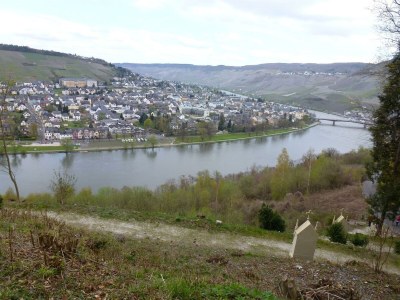 Apartment Ferienwohnung Kardinalsberg - Outdoor photo 12