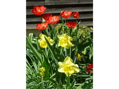 Apartment Ferienwohnung Kardinalsberg - Outdoor photo 16