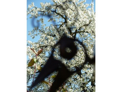 Apartment Ferienwohnung Kardinalsberg - Outdoor photo 18