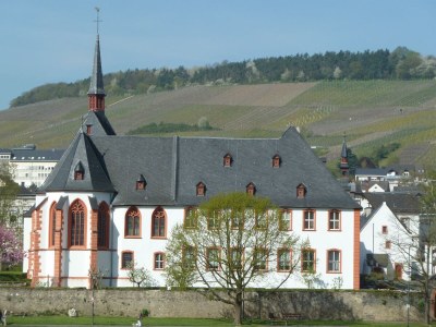 Apartment Ferienwohnung Kardinalsberg - Outdoor photo 19