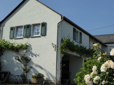 Apartment Ferienwohnung Kardinalsberg - Features photo 28