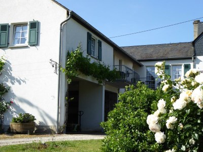 Apartment Ferienwohnung Kardinalsberg - Features photo 29