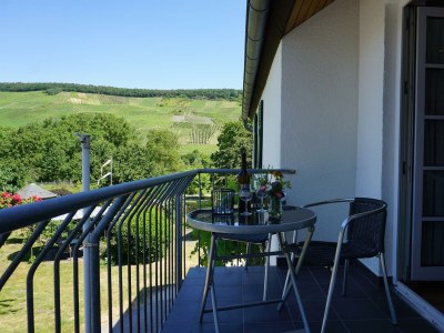 Apartment Ferienwohnung Kardinalsberg - Features photo 38