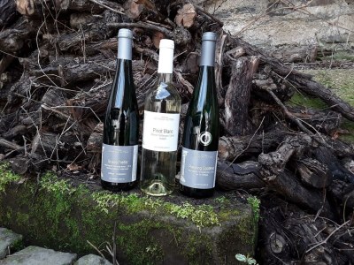 Apartment Ferienwohnung Rosengärtchen - Outdoor photo 7