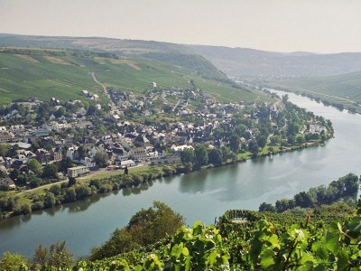 Apartment Ferienwohnung Rosengärtchen - Outdoor photo 9