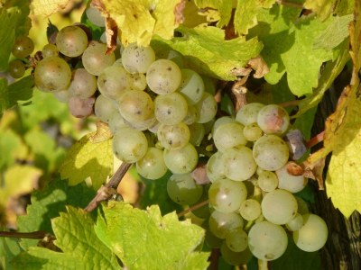 Apartment Ferienwohnung Bel etage - Outdoor photo 9