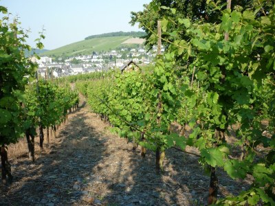 Apartment Ferienwohnung Bel etage - Outdoor photo 10