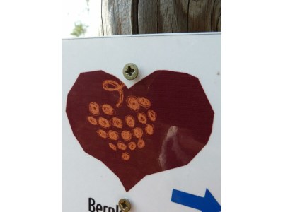 Apartment Ferienwohnung Bel etage - Outdoor photo 11