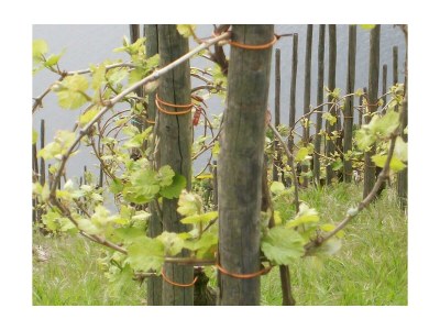 Apartment Ferienhaus Berkele für 8 bis 12 Personen - Outdoor photo 22