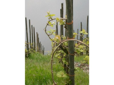 Apartment Ferienhaus Berkele für 8 bis 12 Personen - Outdoor photo 23