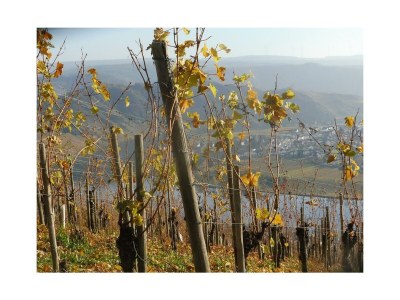 Apartment Ferienhaus Berkele für 8 bis 12 Personen - Outdoor photo 24