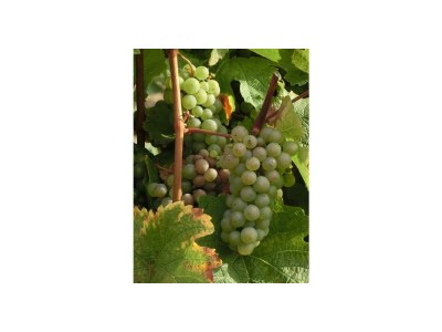 Apartment Ferienhaus Berkele für 8 bis 12 Personen - Outdoor photo 29