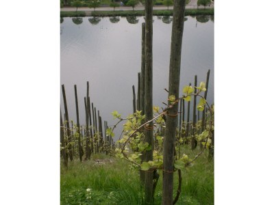 Apartment Ferienhaus Berkele für 8 bis 12 Personen - Outdoor photo 35