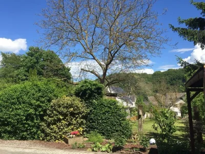 Apartment Ferienwohnung Mehllager - Outdoor photo 4