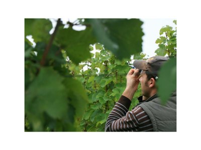 Apartment Ferienwohnung - Outdoor photo 19