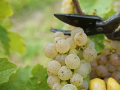 Apartment Ferienwohnung - Outdoor photo 41