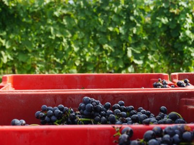 Apartment Ferienwohnung - Outdoor photo 42