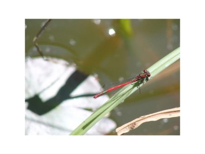 Apartment 4-Bettwohnung Nr. 1 - Outdoor photo 27