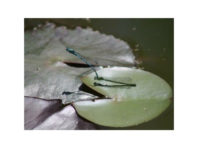 Apartment 4-Bettwohnung Nr. 1 - Outdoor photo 44