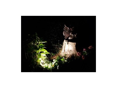 Apartment 2-Bettwohnung Nr. 3 - Outdoor photo 22