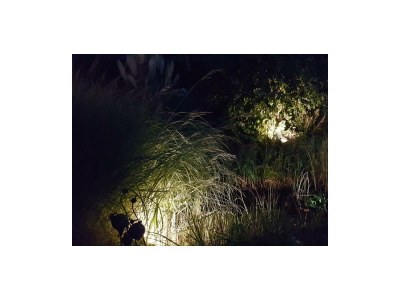 Apartment 2-Bettwohnung Nr. 3 - Outdoor photo 28