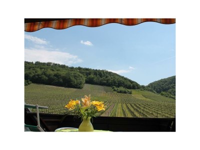 Apartment 2-Bettwohnung Nr. 3 - Features photo 60