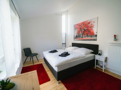 Apartment Ferienhaus Adams in Monzelfeld - Apartment