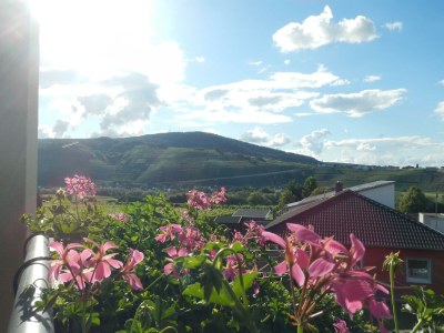 Apartment Suite "inArtico" - Outdoor photo 8