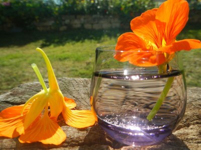 Apartment Suite "inArtico" - Outdoor photo 9