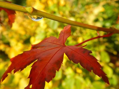 Apartment Suite "inArtico" - Outdoor photo 14