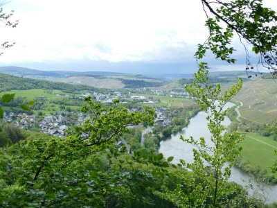 Apartment Ferienwohnung Moselblüte - Outdoor photo 4