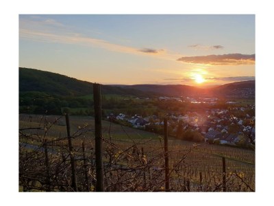 Apartment Ferienwohnung Moselblüte - Outdoor photo 5