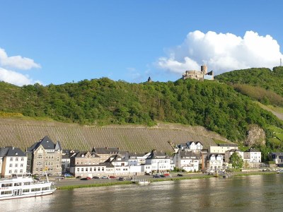 Apartment Ferienwohnung Moselblüte - Outdoor photo 16