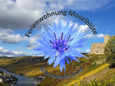 Apartment Ferienwohnung Moselblüte - Outdoor photo 24