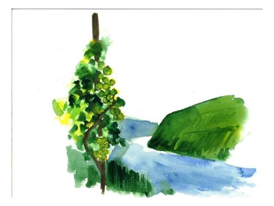 Apartment Fewo OG - Outdoor photo 29