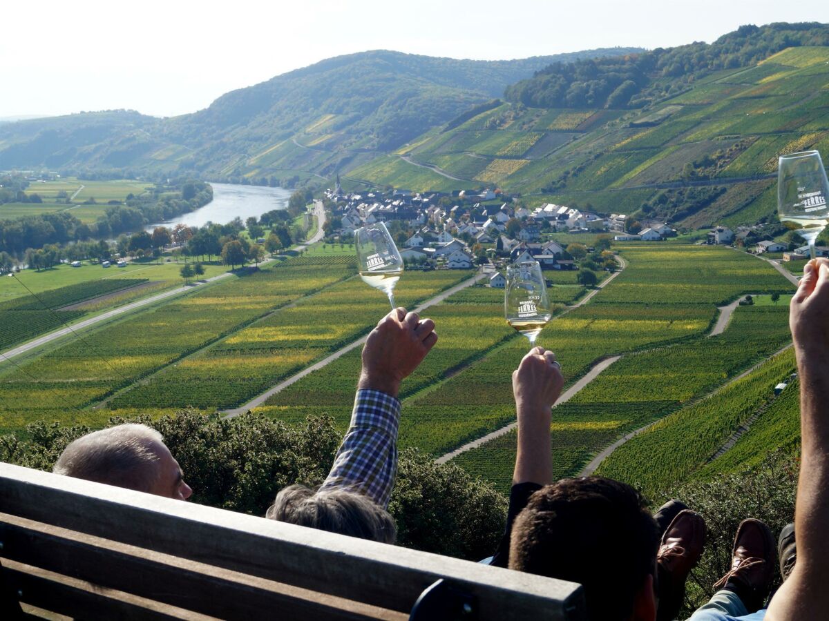 Apartment Ferienwohnung Weingut Ferres