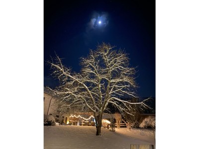 Apartment Fewo 3 Auslese - Outdoor photo 27