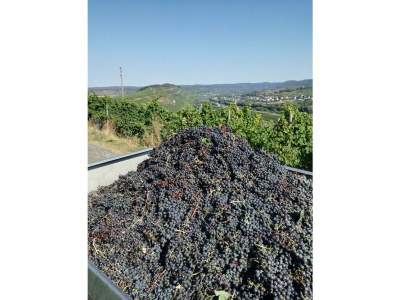 Apartment Fewo 3 Auslese - Outdoor photo 28