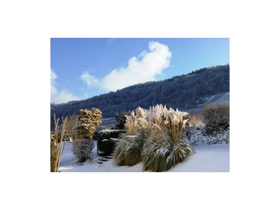 Apartment Ferienwohnung "Kerner" - Outdoor photo 36