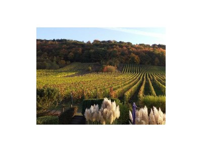 Apartment Ferienwohnung "Kerner" - Outdoor photo 40