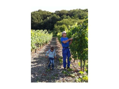 Apartment Ferienwohnung "Kerner" - Outdoor photo 48