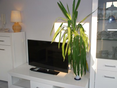 Apartment Ferienwohnung "Sonnenlage" - Features photo 70