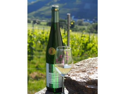 Apartment Ferienwohnung 1 - Outdoor photo 17