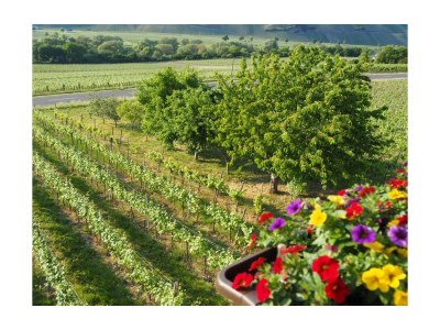 Apartment Ferienwohnung 1 - Features photo 30