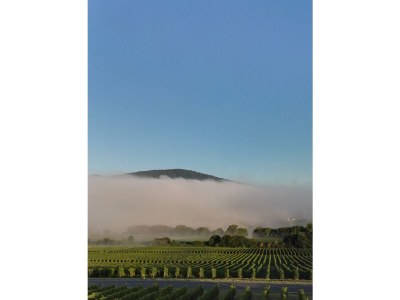 Apartment Ferienwohnung 1 - Features photo 31