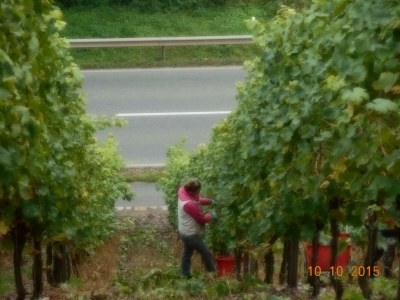 Apartment Apartment - Outdoor photo 2