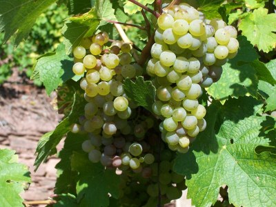 Apartment Apartment - Outdoor photo 7