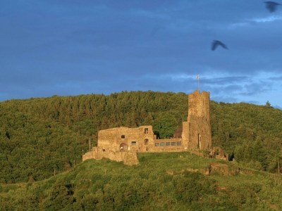 Apartment 6-Bettwohnung - Outdoor photo 24