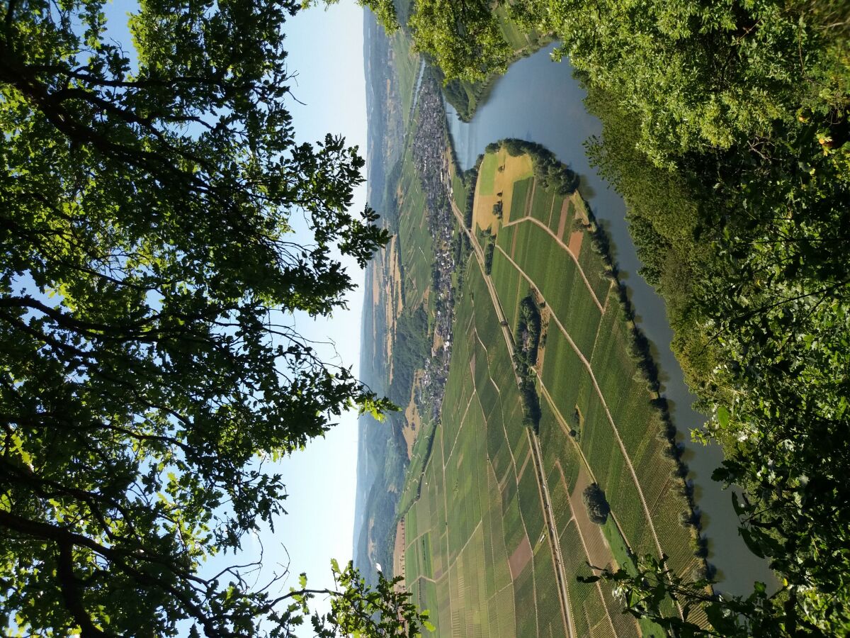 Apartment Ferienwohnung mit schönem Garten - Outdoor photo 3