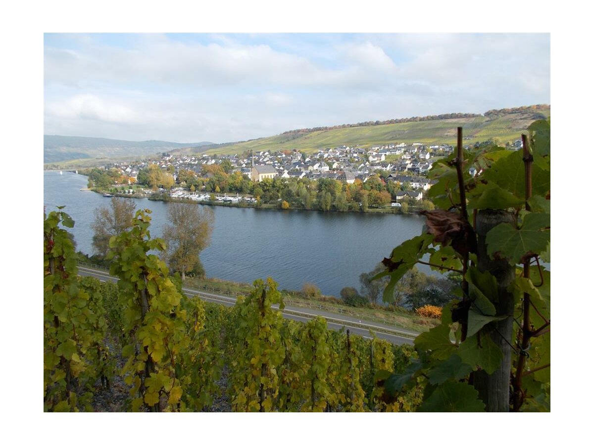 Apartment Ferienwohnung mit schönem Garten - Outdoor photo 4
